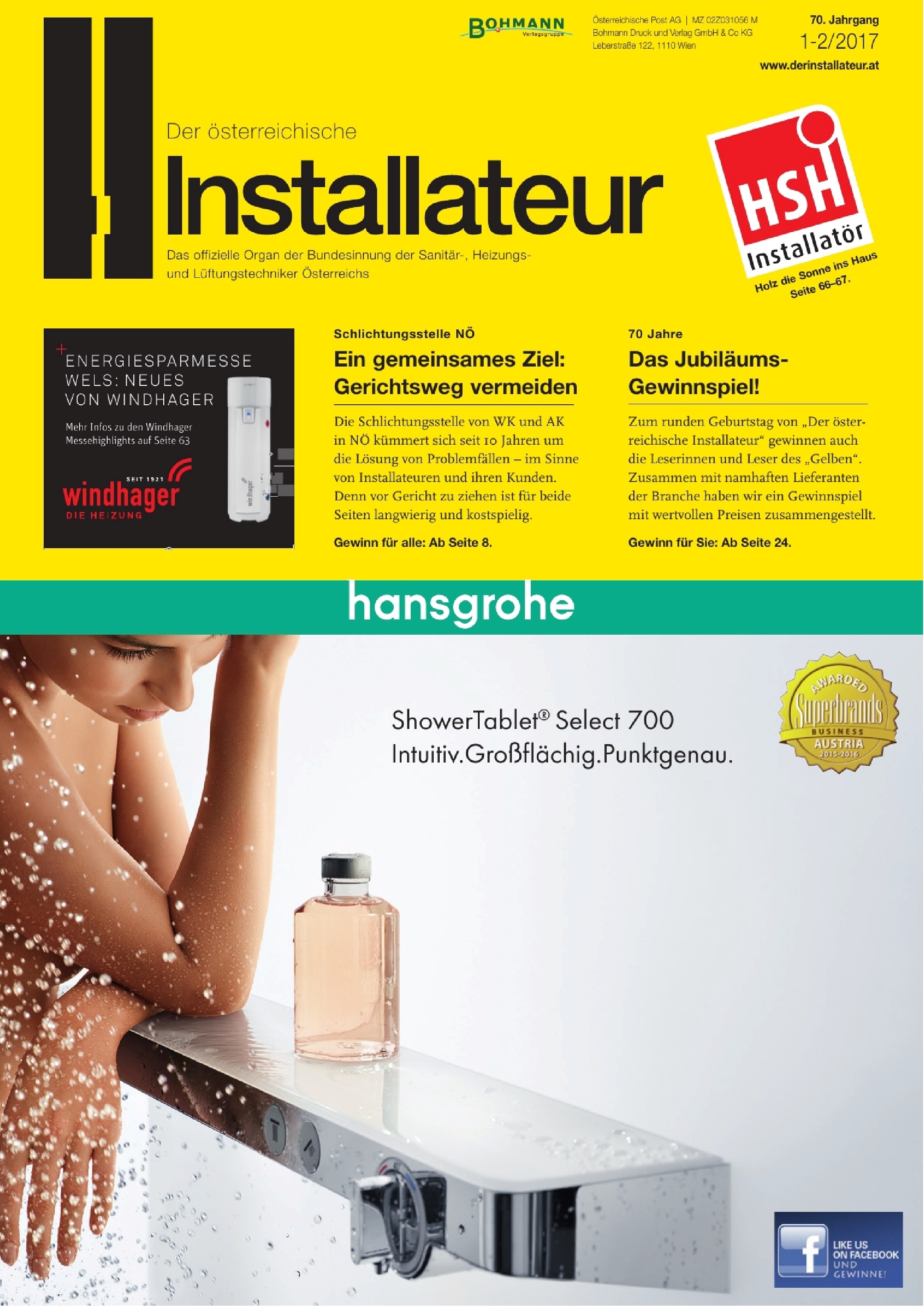 Der österreichische Installateur